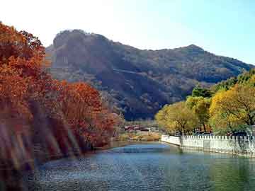 澳门二四六天天彩图库，松香价格